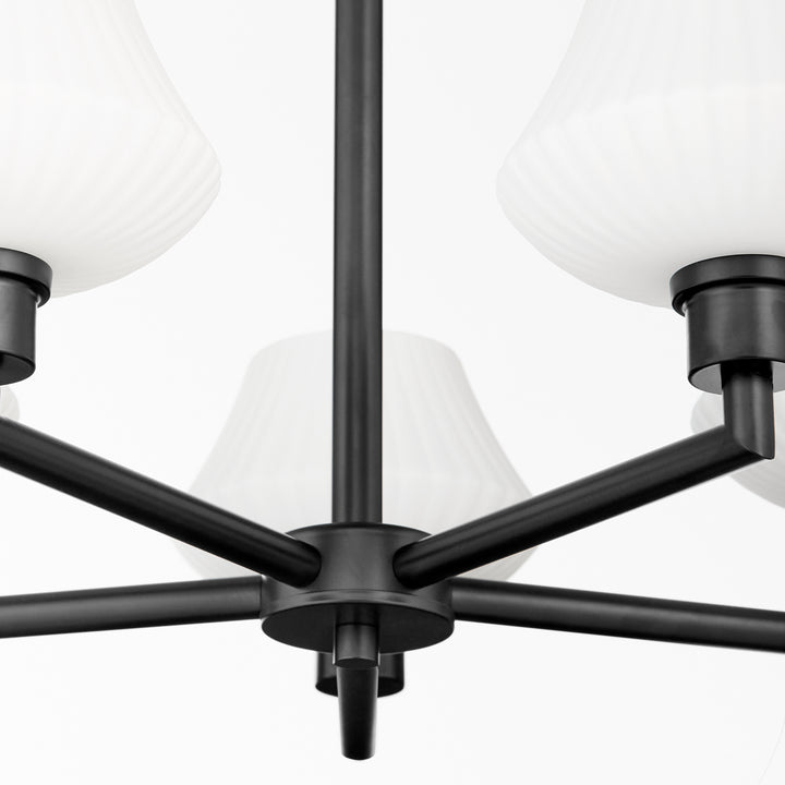 CASSINI 5 Light Chandelier - Matte Black