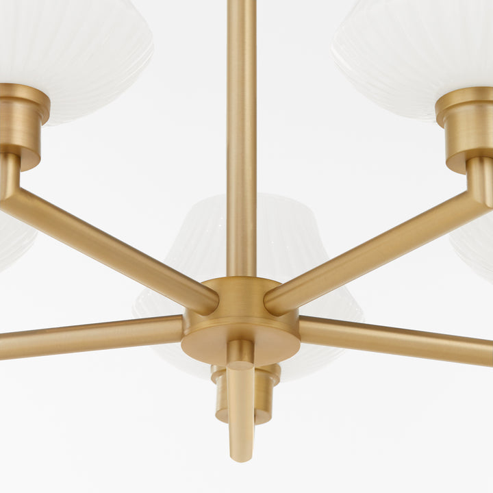 CASSINI 5 Light Chandelier - Aged Brass