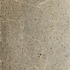 Aged Silver Leaf