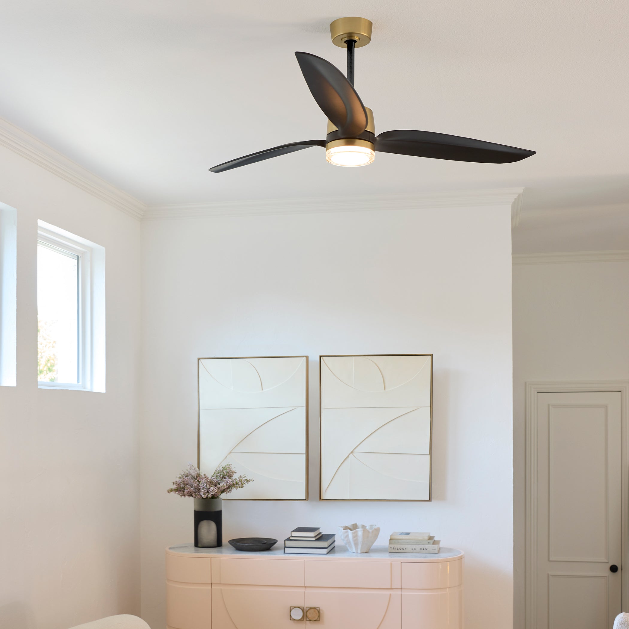 Ceiling Fans
