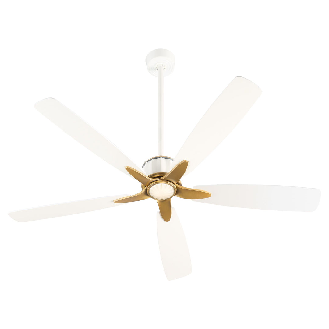 OPHELIA 60" 5CCT FAN - SW/BRB