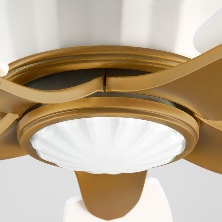 OPHELIA 60" 5CCT FAN - SW/BRB