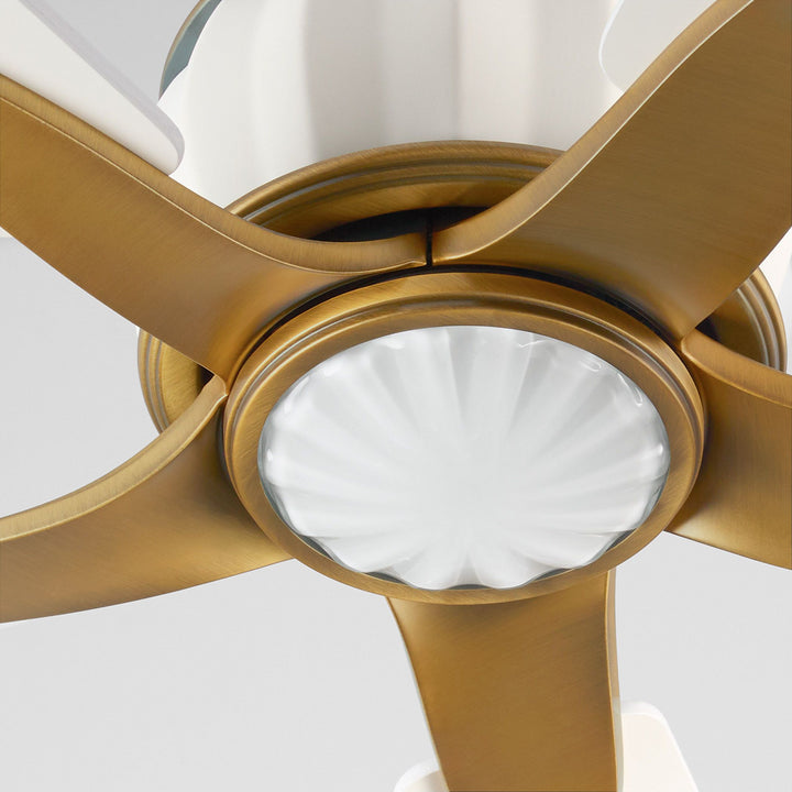 OPHELIA 60" 5CCT FAN - SW/BRB