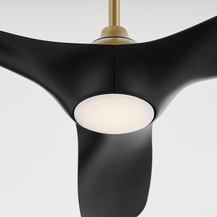PROVINCE 56" Fan - Aged Brass / Black