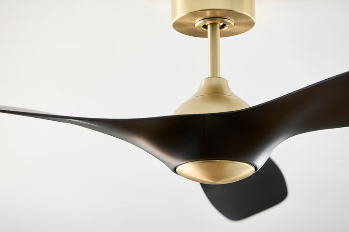 PROVINCE 56" Fan - Aged Brass / Black