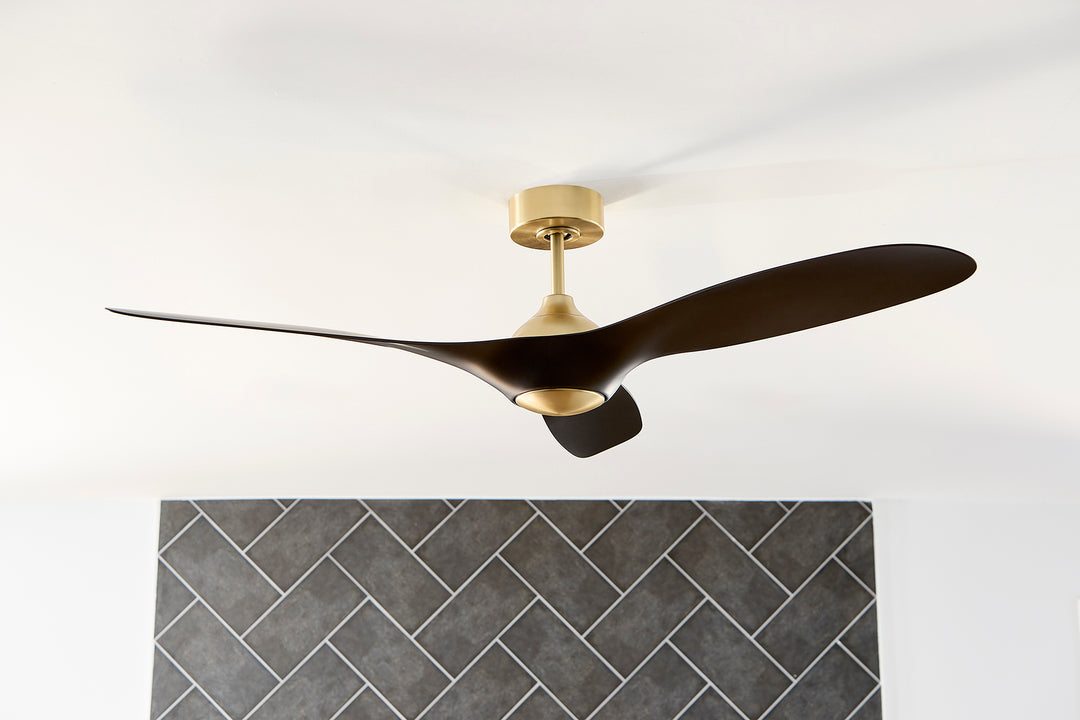 PROVINCE 56" Fan - Aged Brass / Black