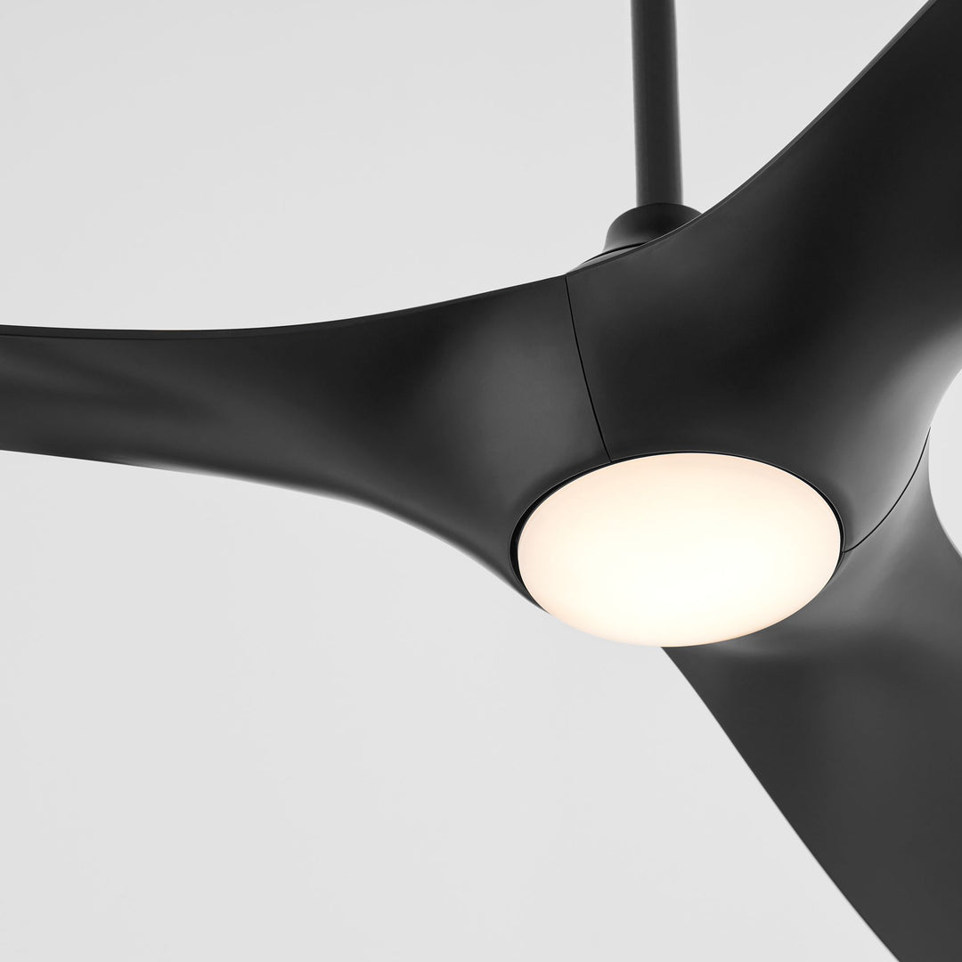 PROVINCE 56" Fan - Black