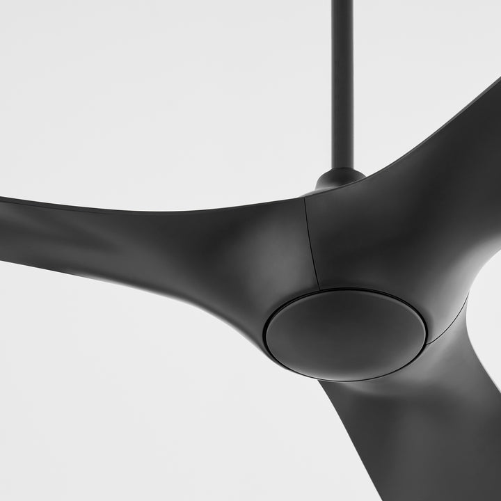 PROVINCE 56" Fan - Black