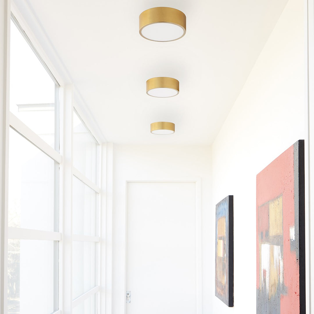 PEEPERS 10" Sconce / Ceiling Mount  -4000k