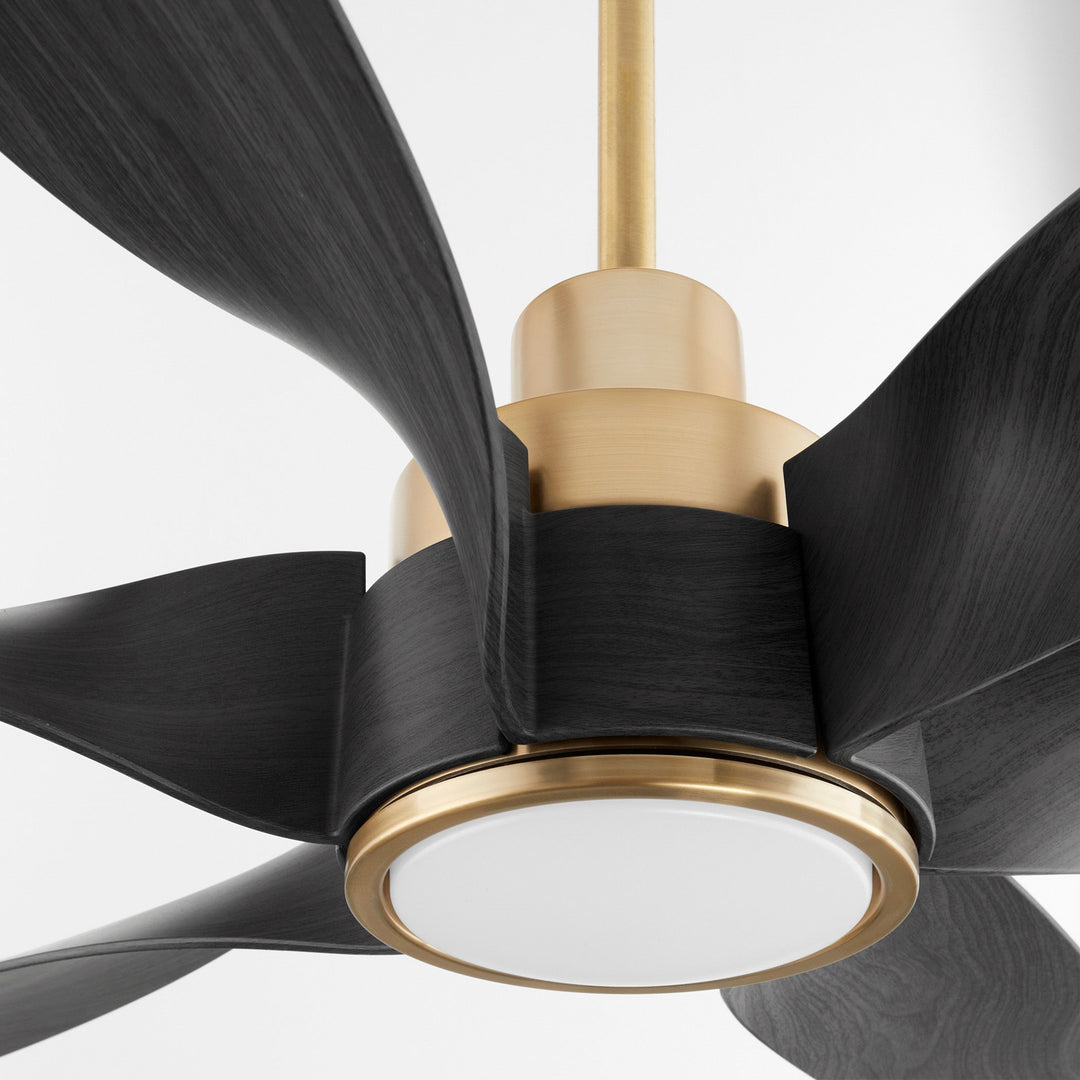 KIMBO 60" 6 Blade Fan - Aged Brass