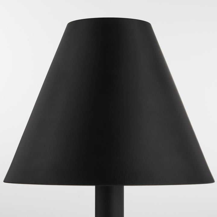 WALTZ 1-Light Swing-Arm Lamp - Matte Black