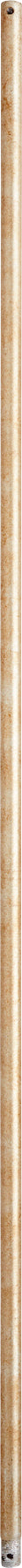 Quourm 6-6060
