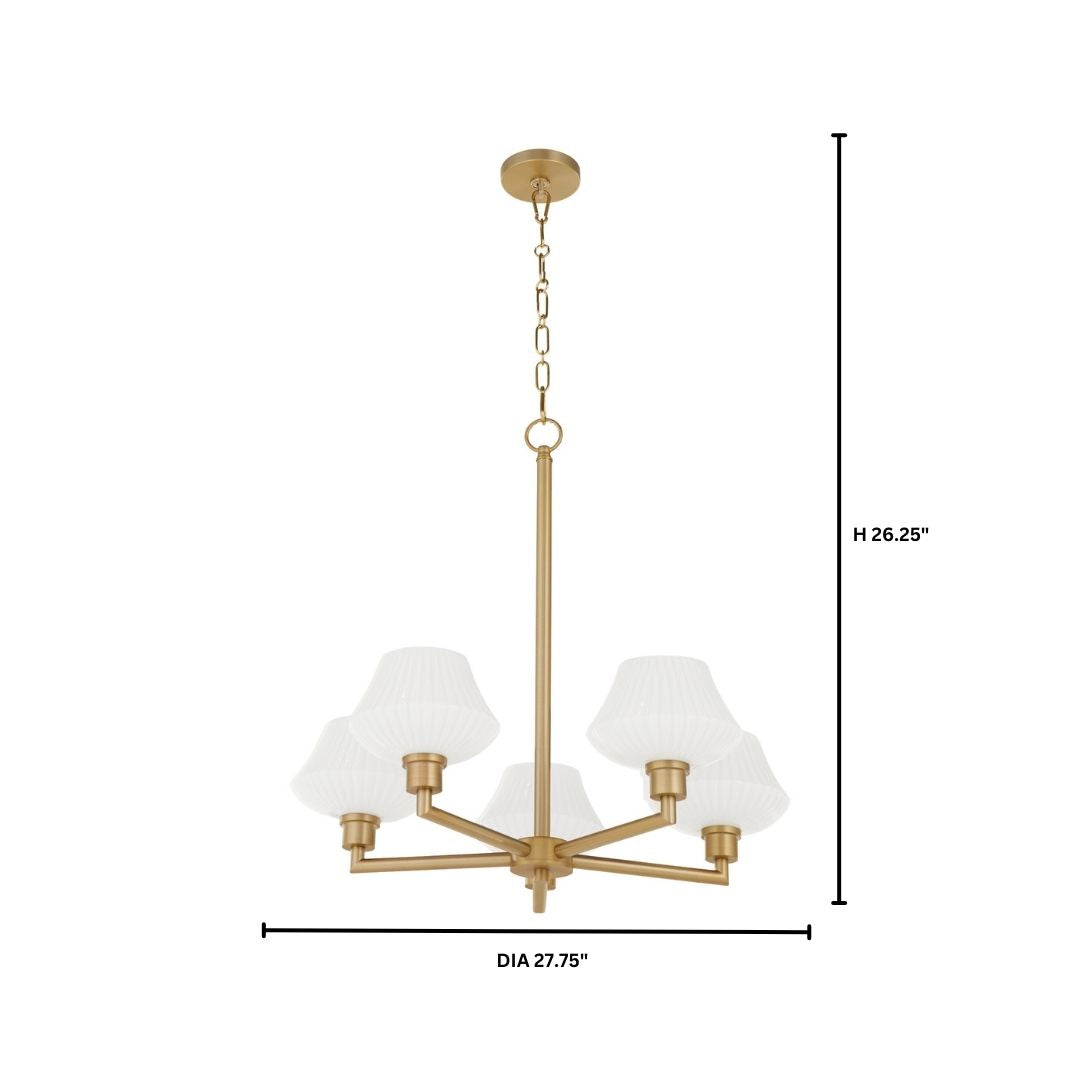 CASSINI 5 Light Chandelier - Aged Brass