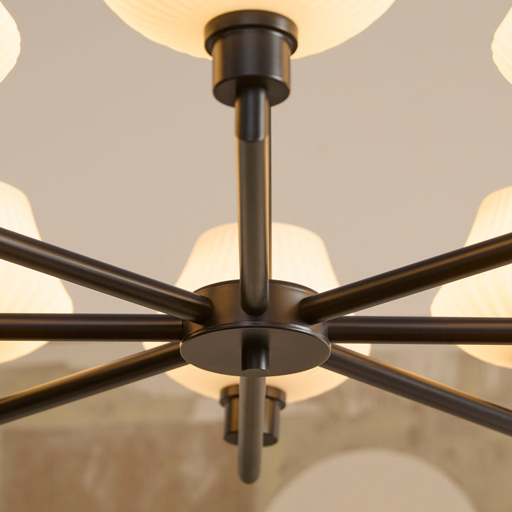 CASSINI 8 Light Chandelier - Matte Black