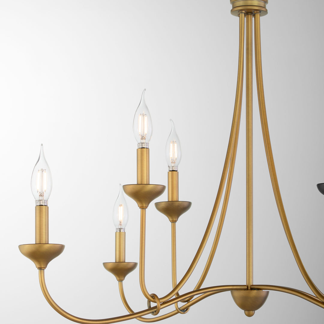 LIVINGSTON 8 Light Chandelier - Brushed Brass
